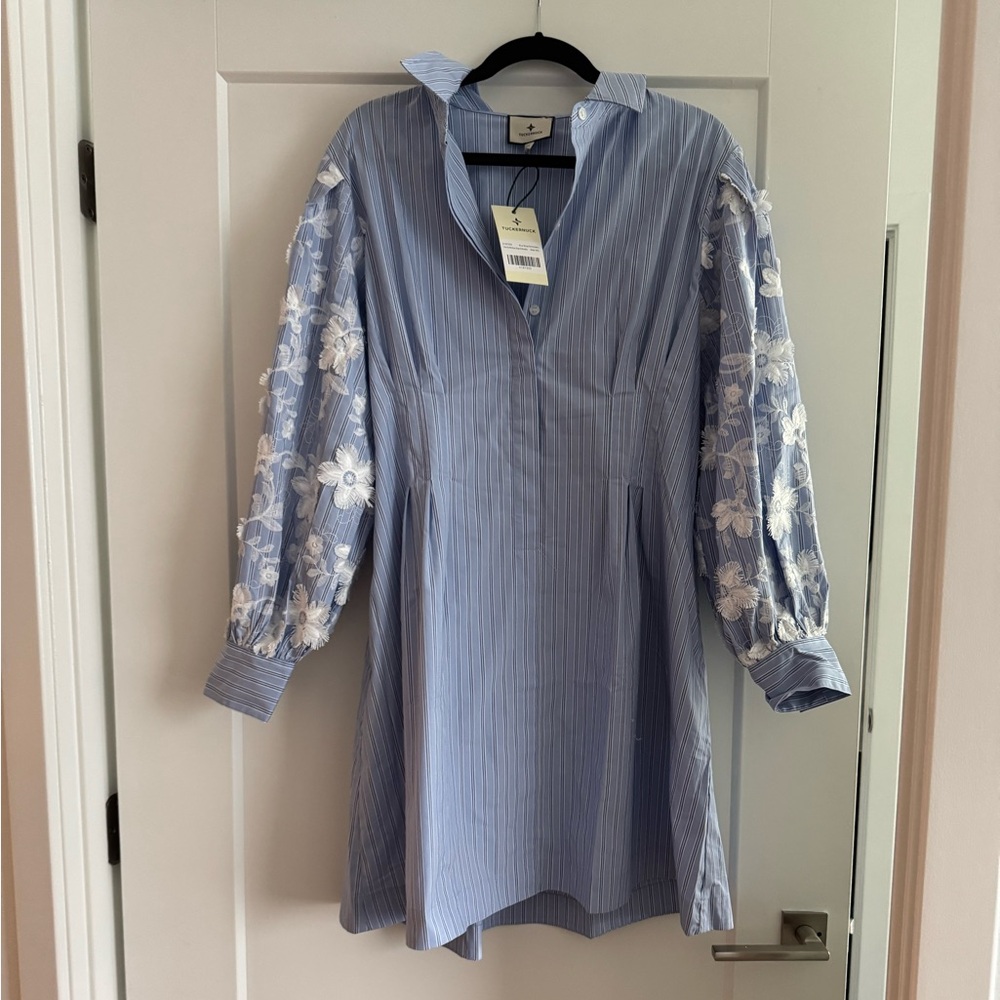 Tuckernuck Blue Striped Shirt Dress